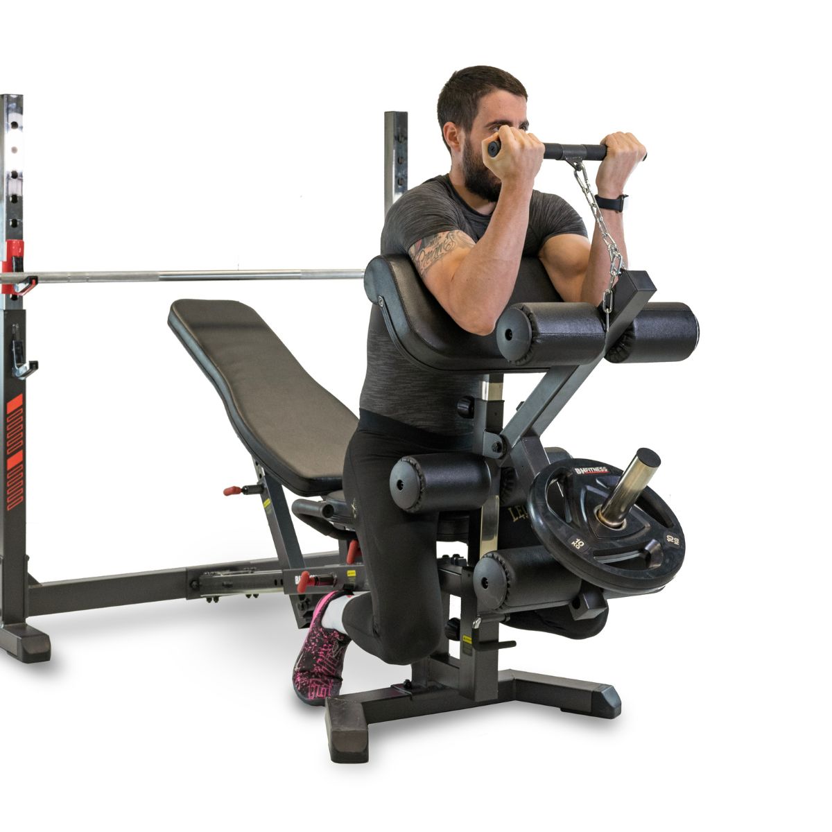 bh-fitness-g510100-bizeps-quadrizeps-aufsatz-hantelbank image 2